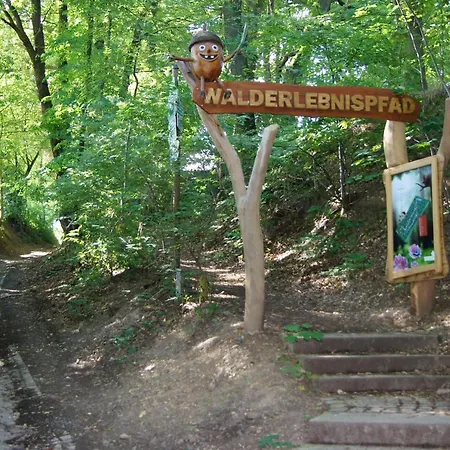 Quellenhaus Feengrotten 宾馆